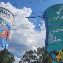 Through History’s Streets: A Day Tour in Soweto